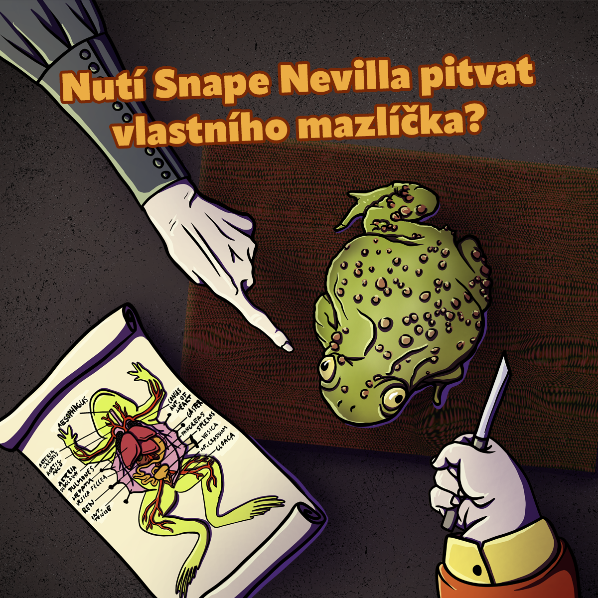 Kocouři paní Figgové